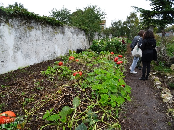 Jardin Pouplier