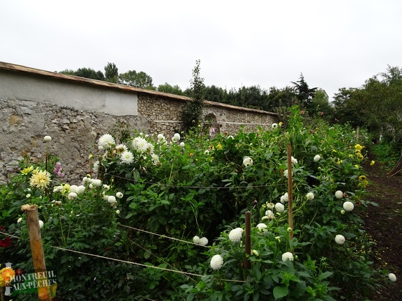 Jardin Pouplier