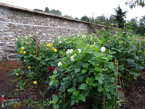 Jardin Pouplier