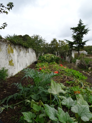 Jardin Pouplier