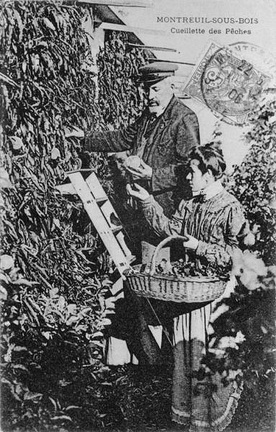 Pêcher