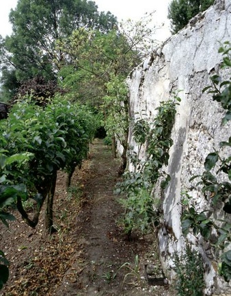 Mur à Pêches - Jardin