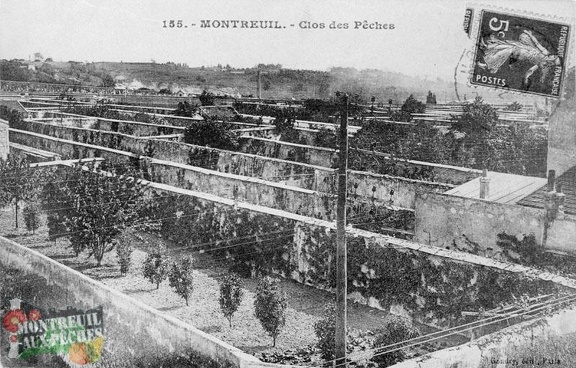 Clos des pêches