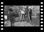 Chantier de rénovation d'un mur à pêches