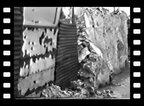 murs à pêches de Montreuil 1980
