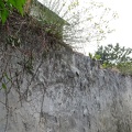 Mur Pouplier - Vue de la rue