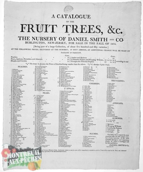 A catalogue of fruit trees